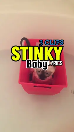 Stinky baby 😺😽😻