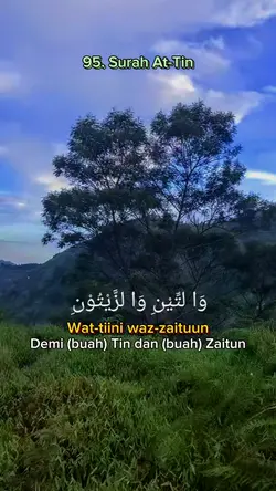95. Surah At-Tin