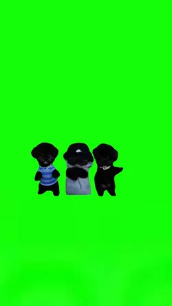 3 Dogs Dancing