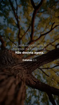 Não desista 🙏