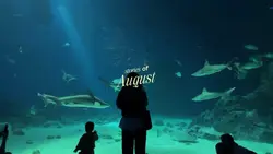 Stories of August 