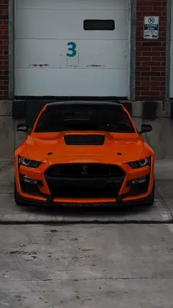 Mustang 🔥🔥🔥🧡🧡