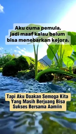 pemula fb pro