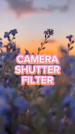 CAMERA SHUTTER 