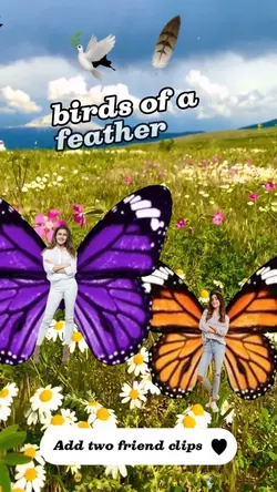 Butterfly besties