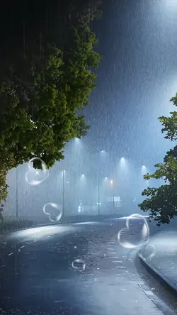 5 video và ảnh