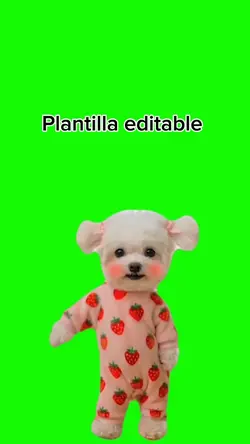Perrito bailando