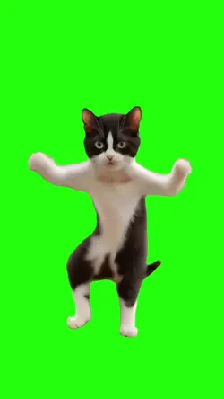 Cat Dancing Meme