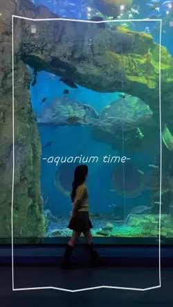 82aquarium time
