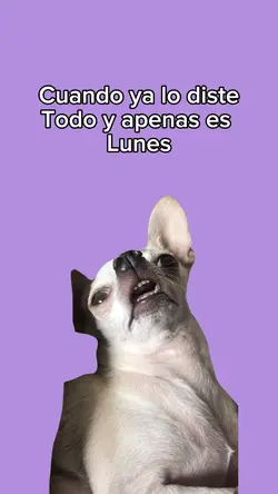 YA POR FAVOR!