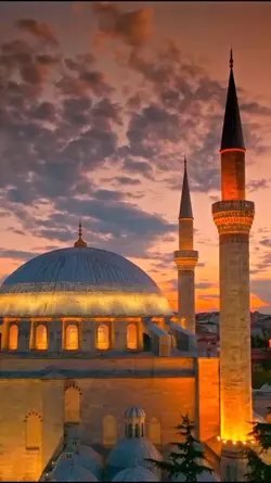 #şablon