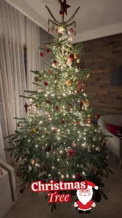Christmas tree🧑‍🎄🎄