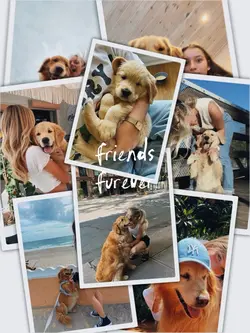 I LOVE MY DOG