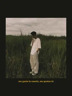 me gustas tu