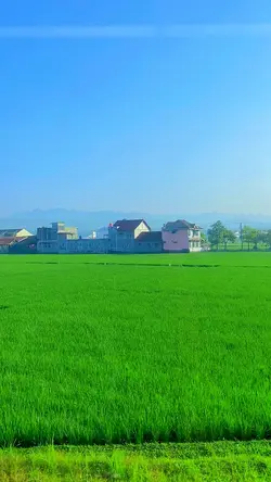 Pemandangan