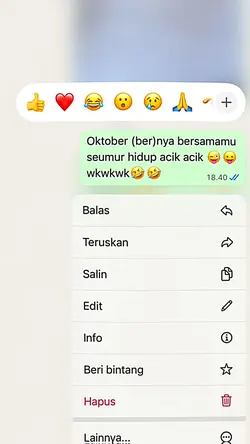 Jj chat wa