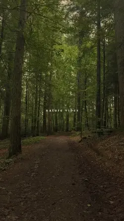 nature vibes