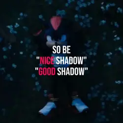 nice Cinderella