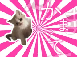おつかれsummer☀️