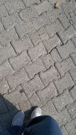 incelemedenciklutfen