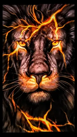 ATTITUDE KING