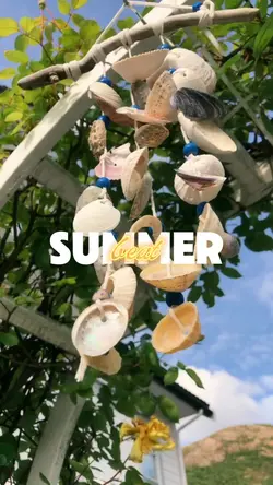 summer beat recap