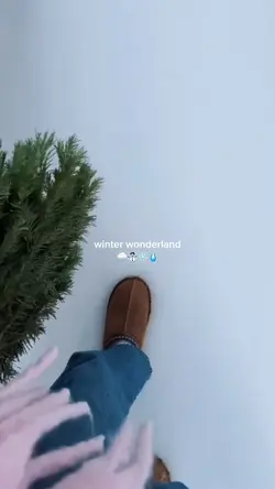 winter wonderland