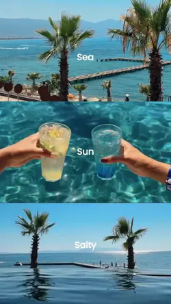 Sea • Sun • Salty