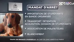mandat d'arrêt 