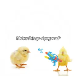Fajkert! :3