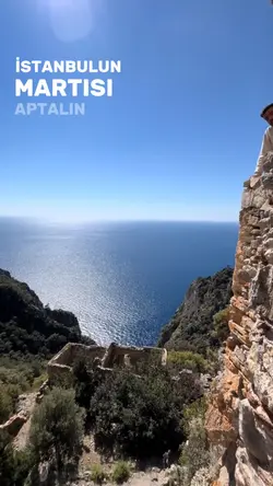 yaz şablonu 