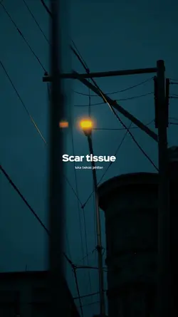 RHCP - Scar tissue