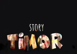 Timor story wa