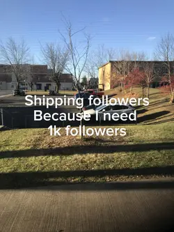 Shipping followers
