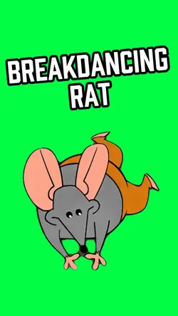 BREAKDANCING RAT