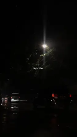 NIGHT VIBES