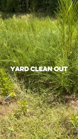 Yard Clean Out