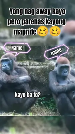 gorilla memes 