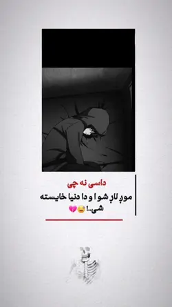 hy hy