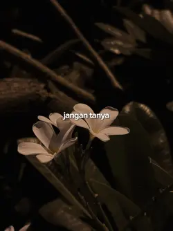 Biarlah semua berlal