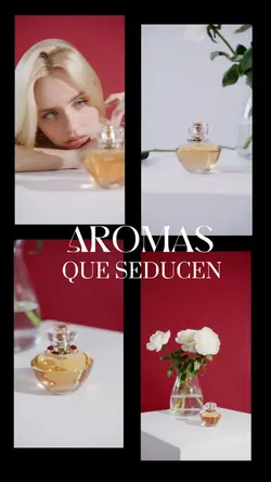 Nuevos productos