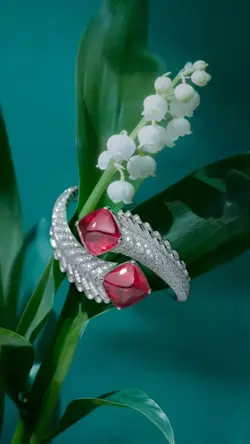 New Collection