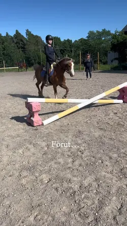 Finaste djuren❤️❤️