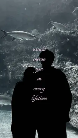 i would choose you