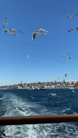 Harika slowmotion