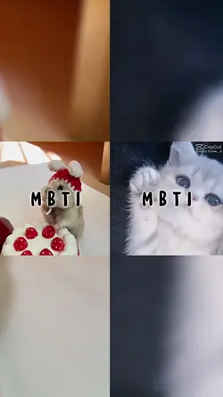 mbti｜2画面