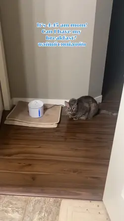 Breakfast time ❤️