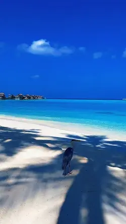 beautiful beach