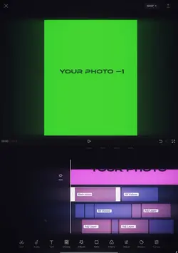 tiktok viral 
