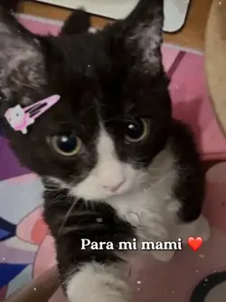 Mi mami la mejor <3
